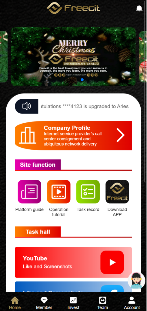 二开海外版任务点赞系统/TIKTOK脸书任务平台/金币兑换系统/前端VUE源码